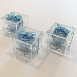 copy of Rose éternelle  XL...