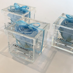 copy of Rose éternelle  XL noir