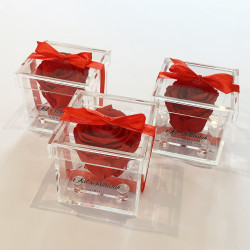 copy of Rose éternelle  XL noir