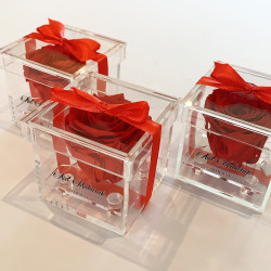 copy of Rose éternelle  XL...