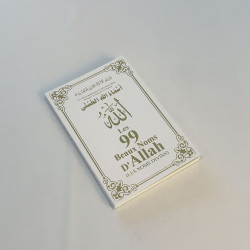 copy of Citadelle rose poudre