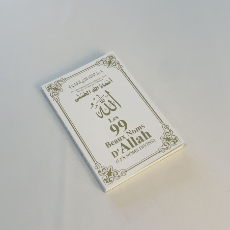 copy of Citadelle rose poudre